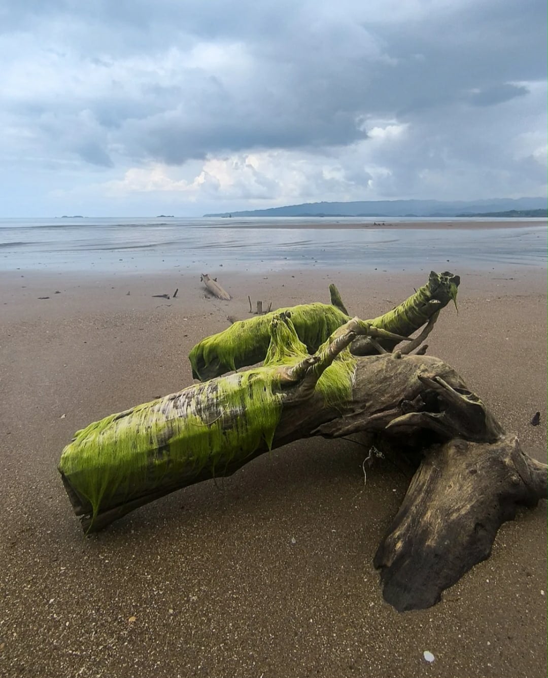 theadventureaperture #12